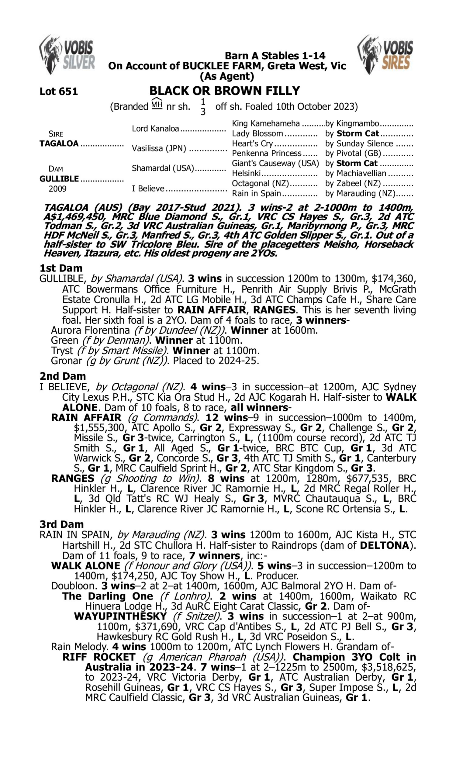 catalogue page 2025